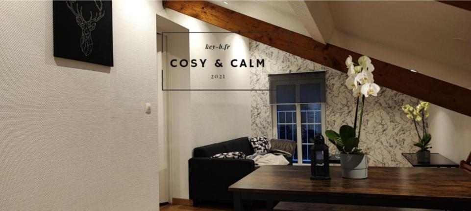 Calm & Cosy Appartement Freyming-Merlebach Buitenkant foto